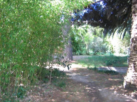 jardin RAMATUELLE